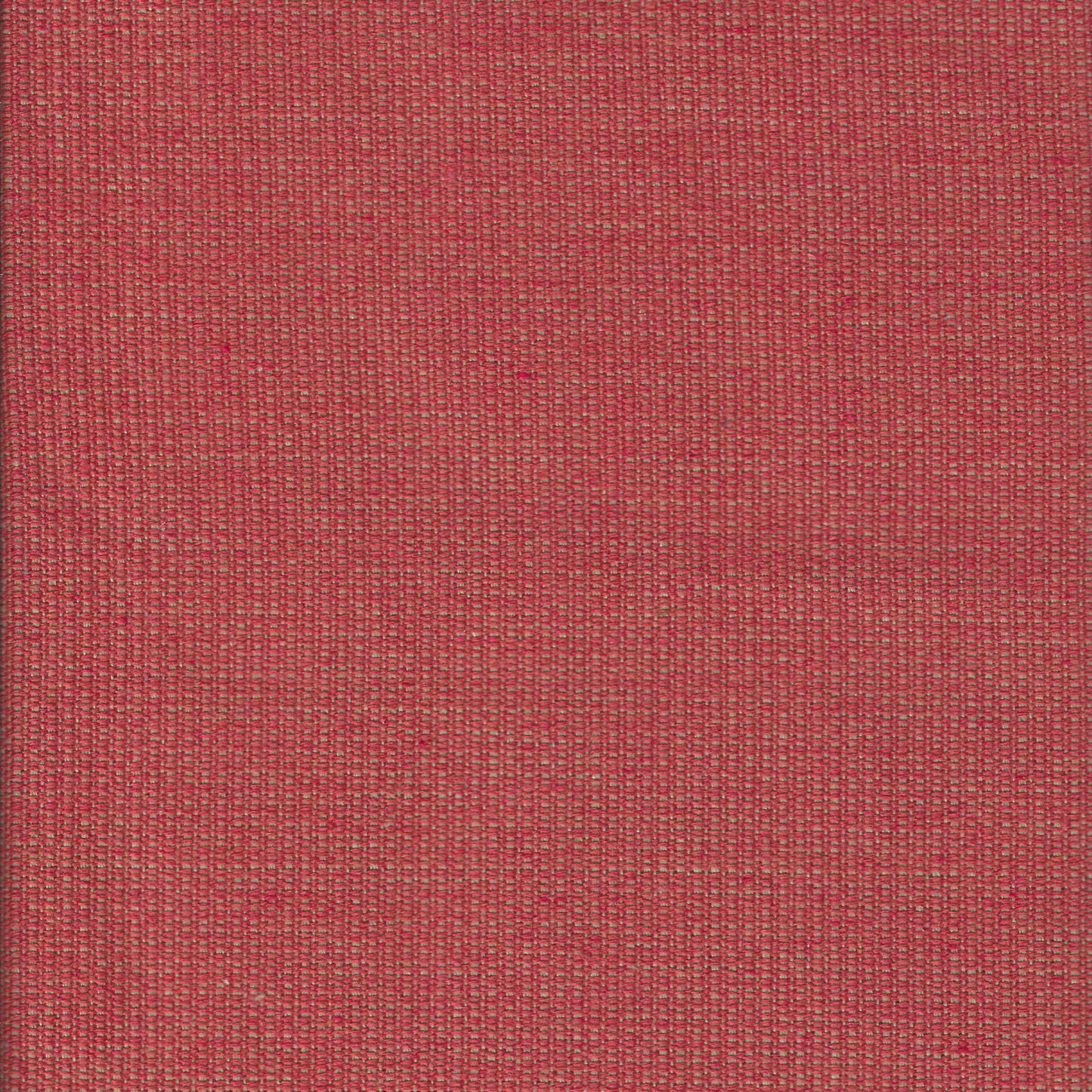 #427