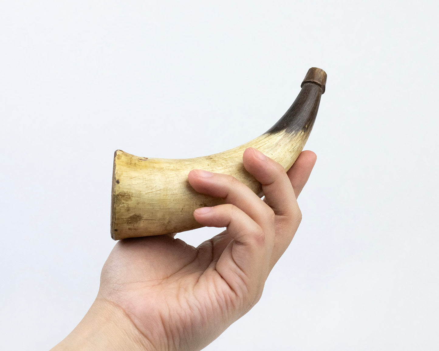 VINTAGE POWDER HORN
