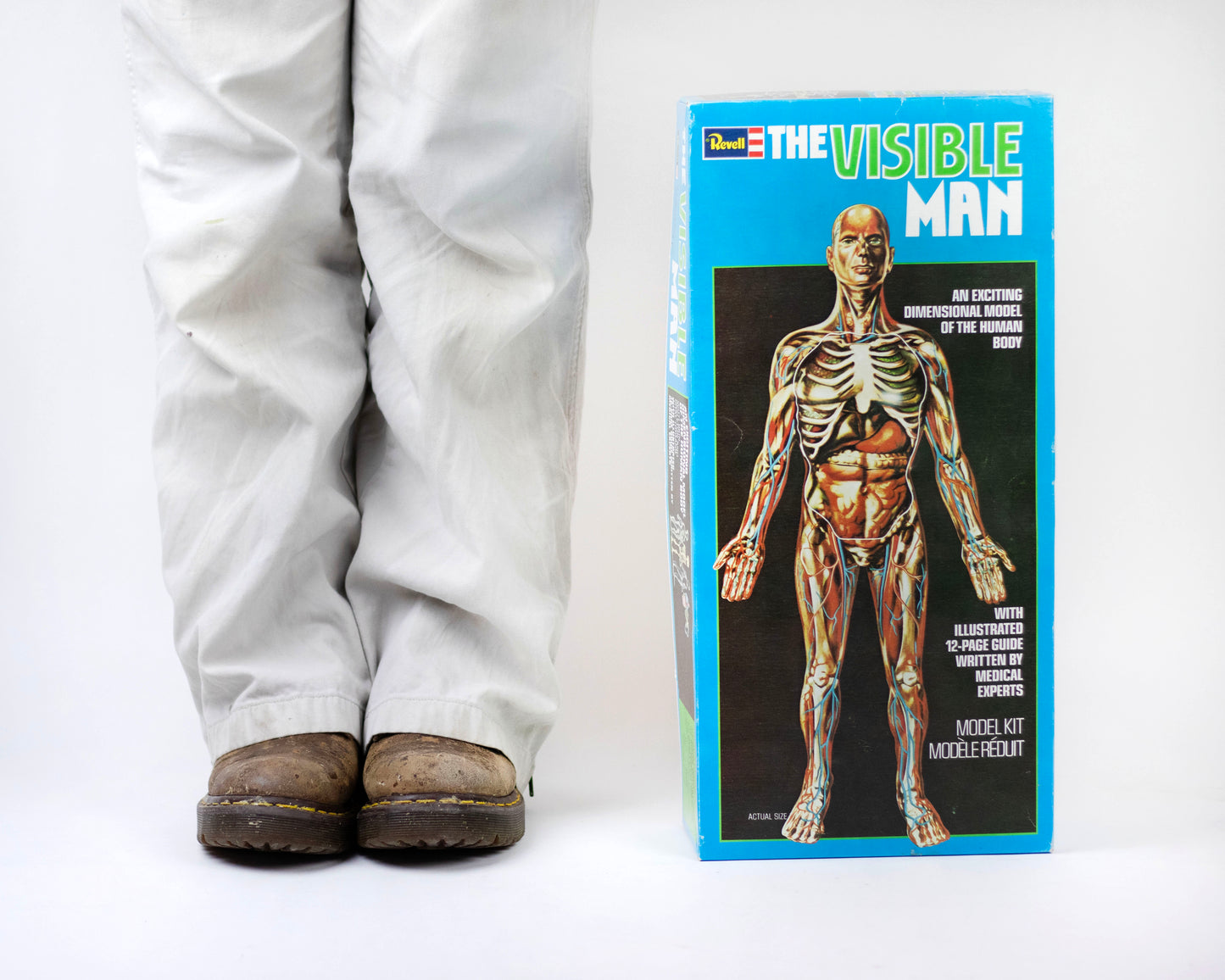 VINTAGE 1970S "THE VISIBLE MAN" ANATOMICAL HUMAN BODY MODEL KIT