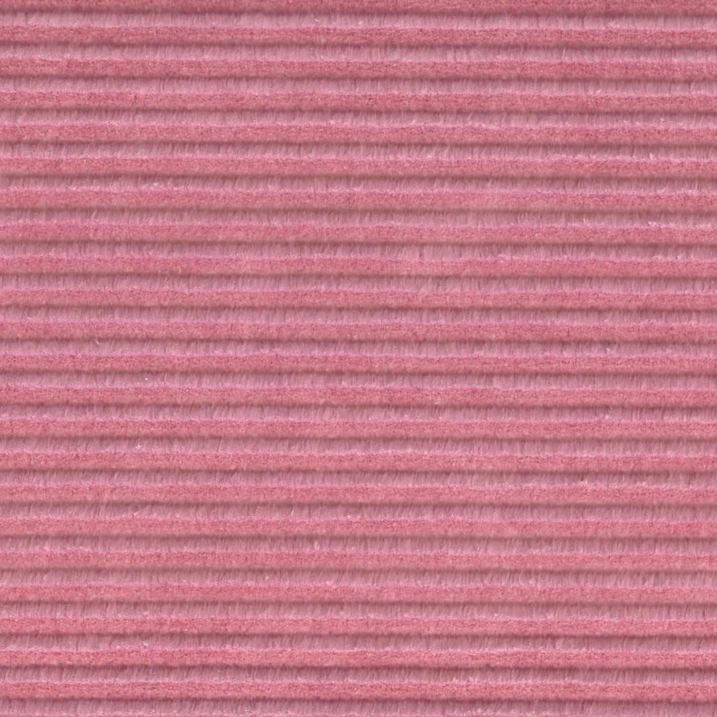 #243
