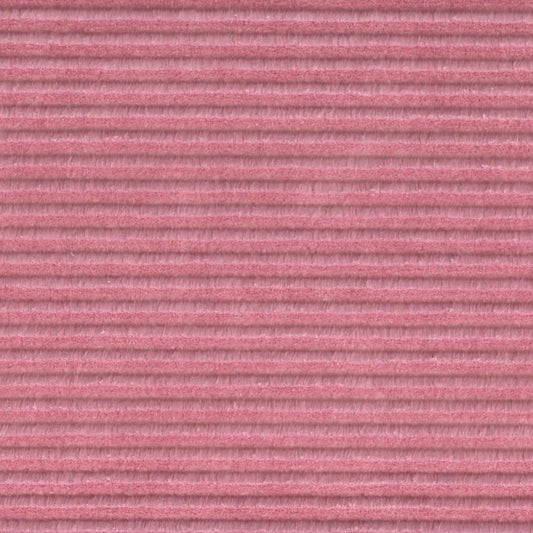 #243
