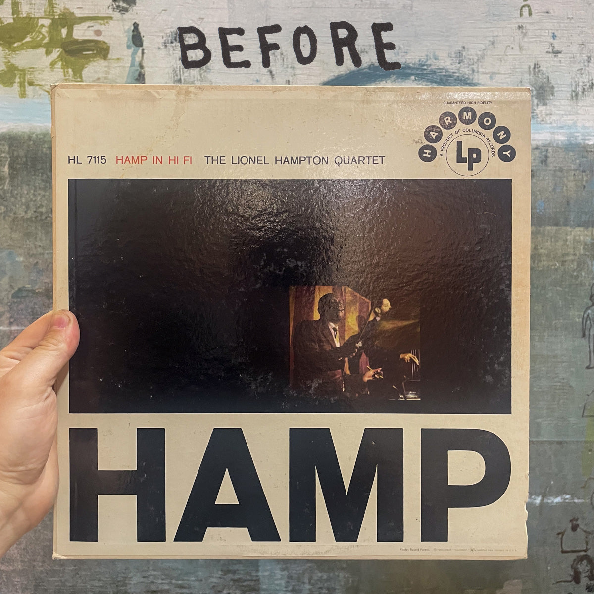 VANDALIZED DOLLAR BIN RECORD