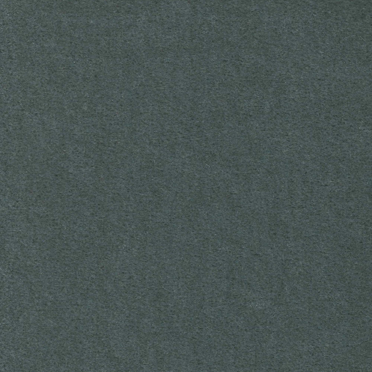 #282