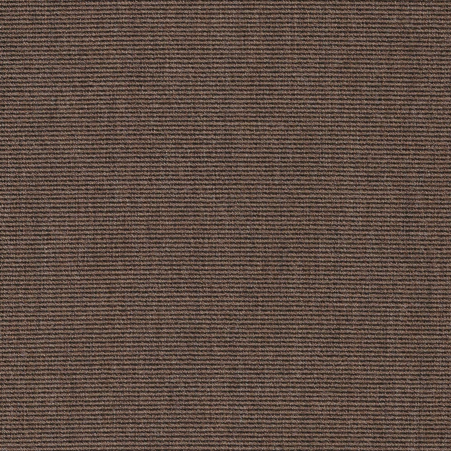 #291