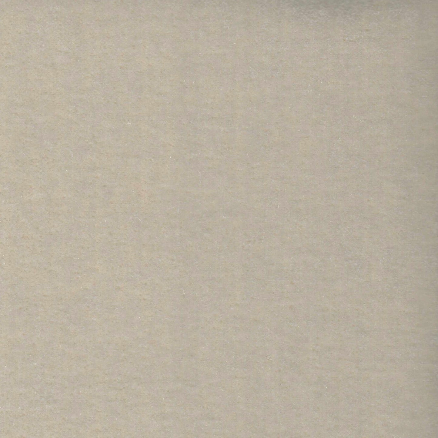 #293
