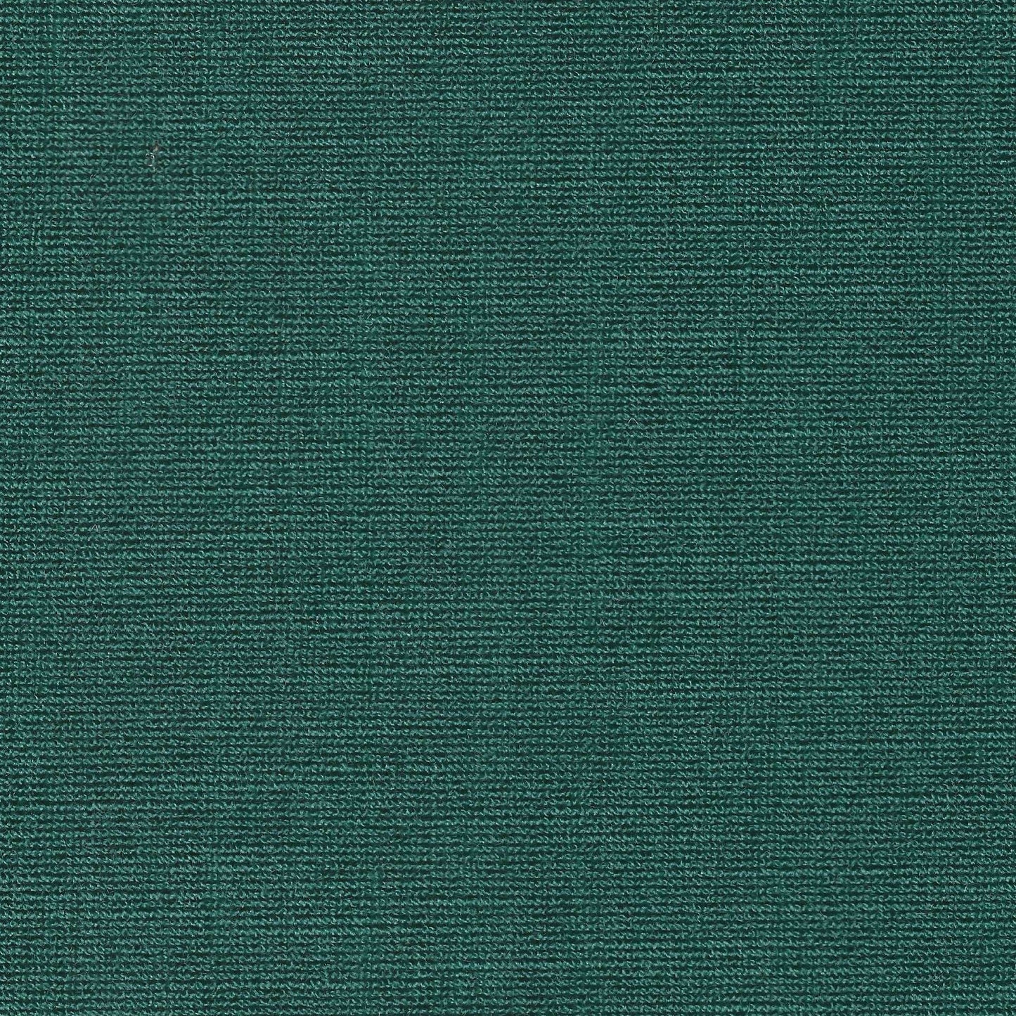 #303