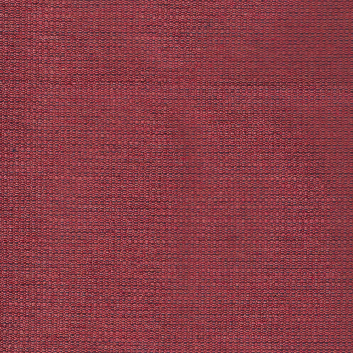 #425