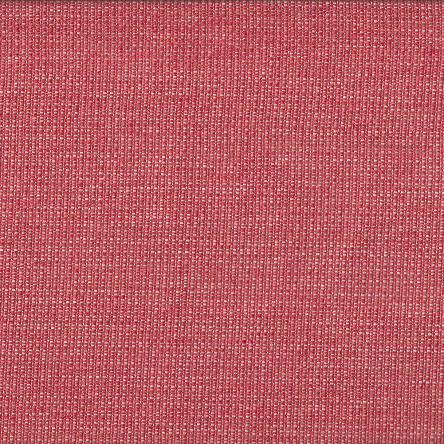 #426