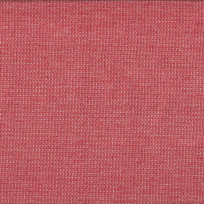 #426