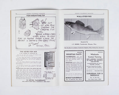 VINTAGE "MODERN TAXIDERMIST" MAGAZINE - MAY 1971 #191