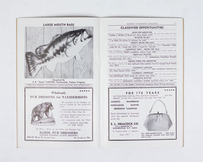 VINTAGE "MODERN TAXIDERMIST" MAGAZINE - MAY 1971 #191