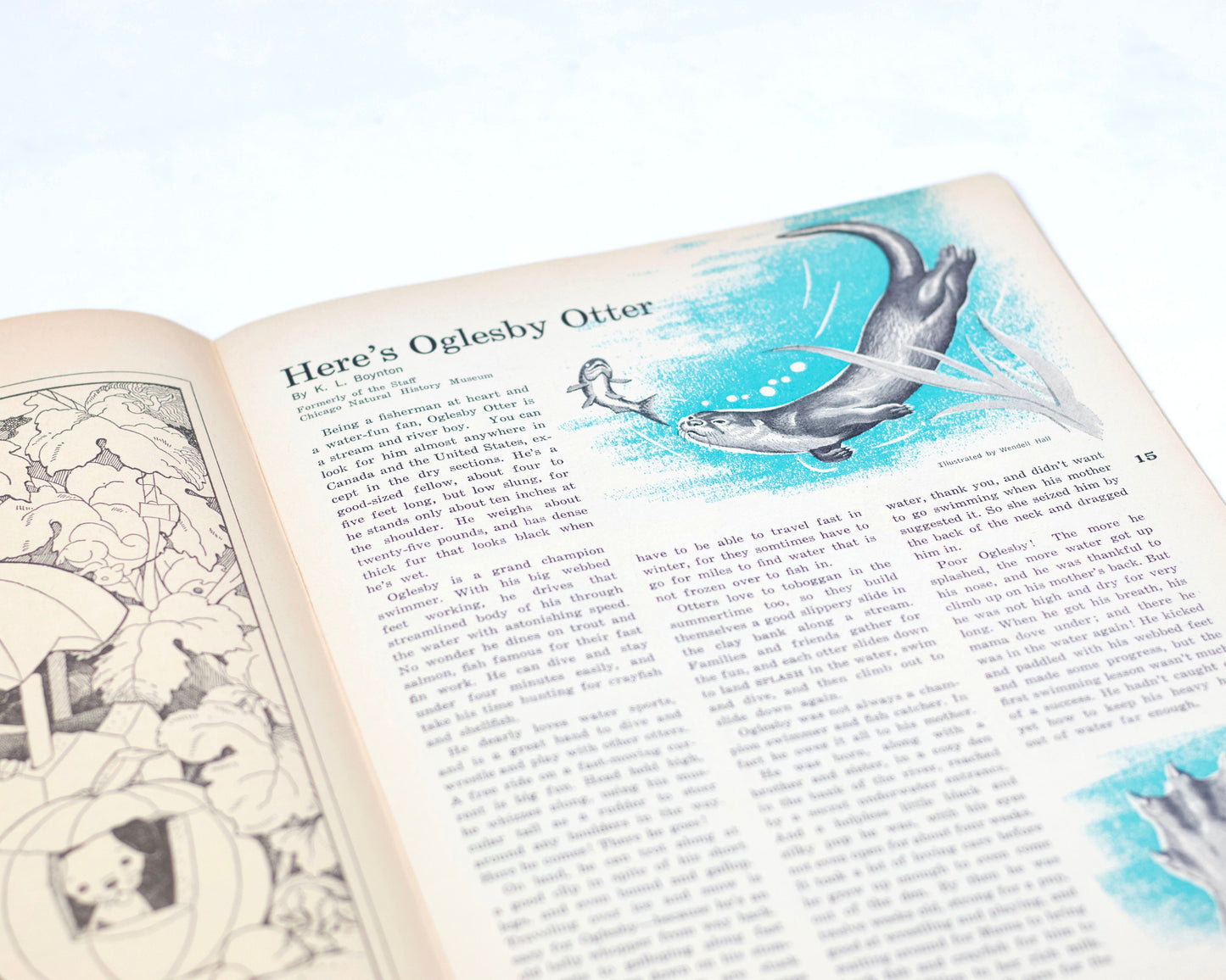 VINTAGE "HIGHLIGHTS" CHILDREN'S MAGAZINE - OCTOBER 1965