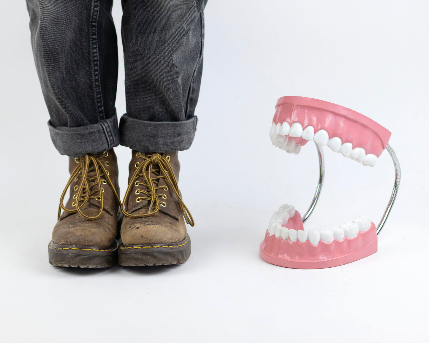 XL VINTAGE ARTICULATING DENTAL DISPLAY
