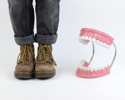 XL VINTAGE ARTICULATING DENTAL DISPLAY