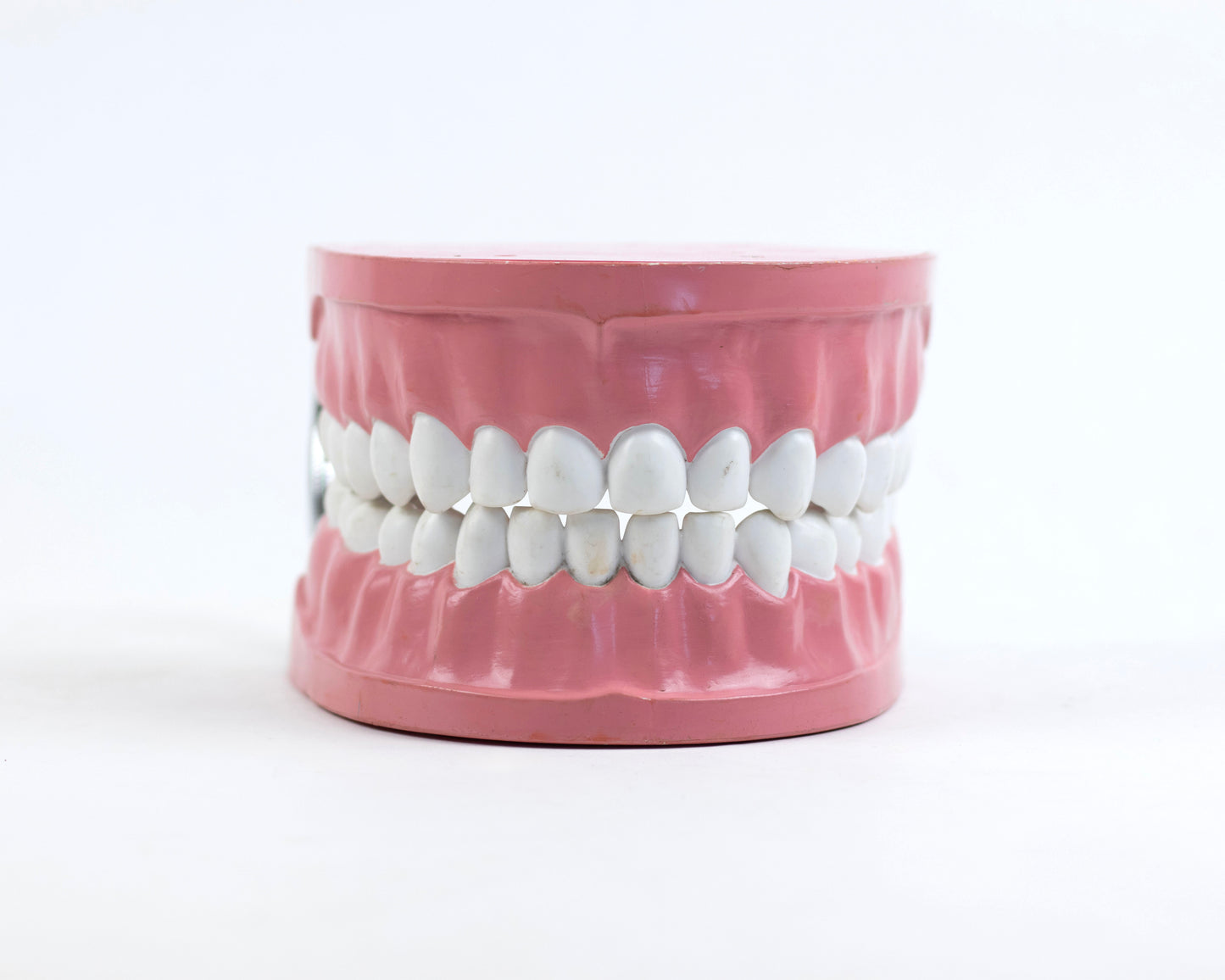 XL VINTAGE ARTICULATING DENTAL DISPLAY