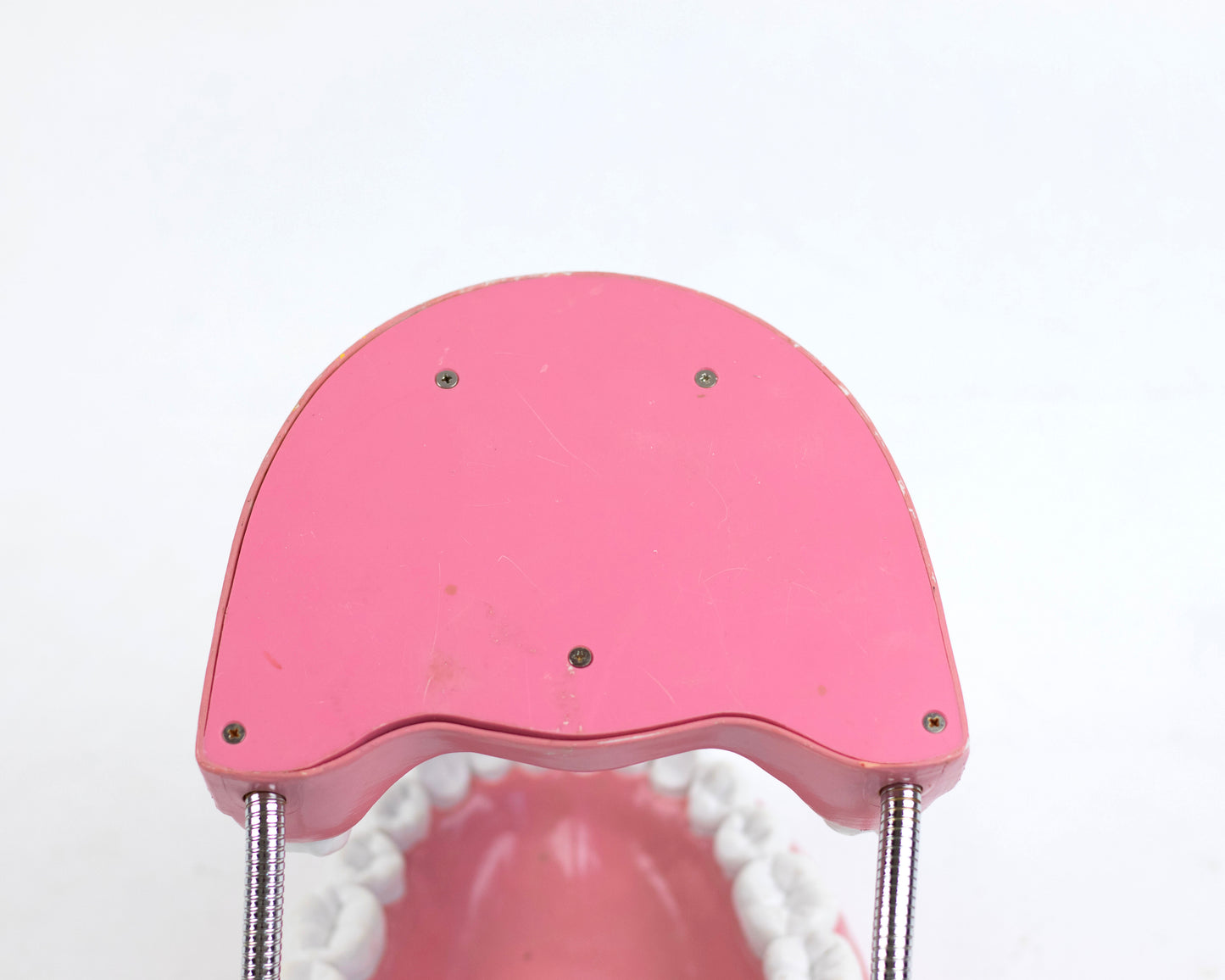 XL VINTAGE ARTICULATING DENTAL DISPLAY