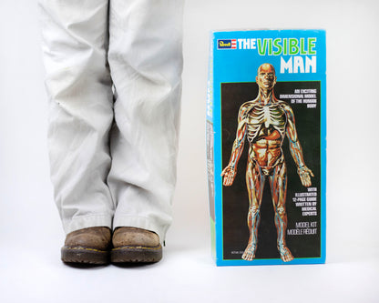 VINTAGE 1970S "THE VISIBLE MAN" ANATOMICAL HUMAN BODY MODEL KIT
