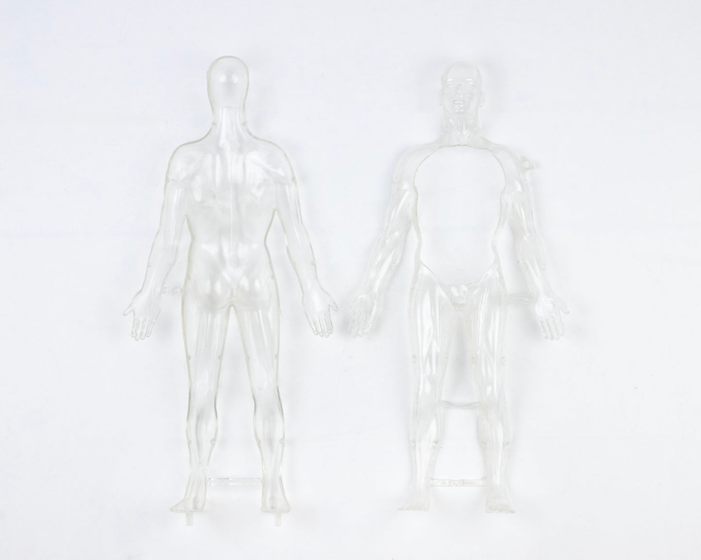 VINTAGE 1970S "THE VISIBLE MAN" ANATOMICAL HUMAN BODY MODEL KIT