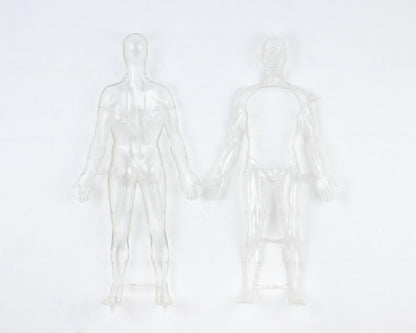 VINTAGE 1970S "THE VISIBLE MAN" ANATOMICAL HUMAN BODY MODEL KIT