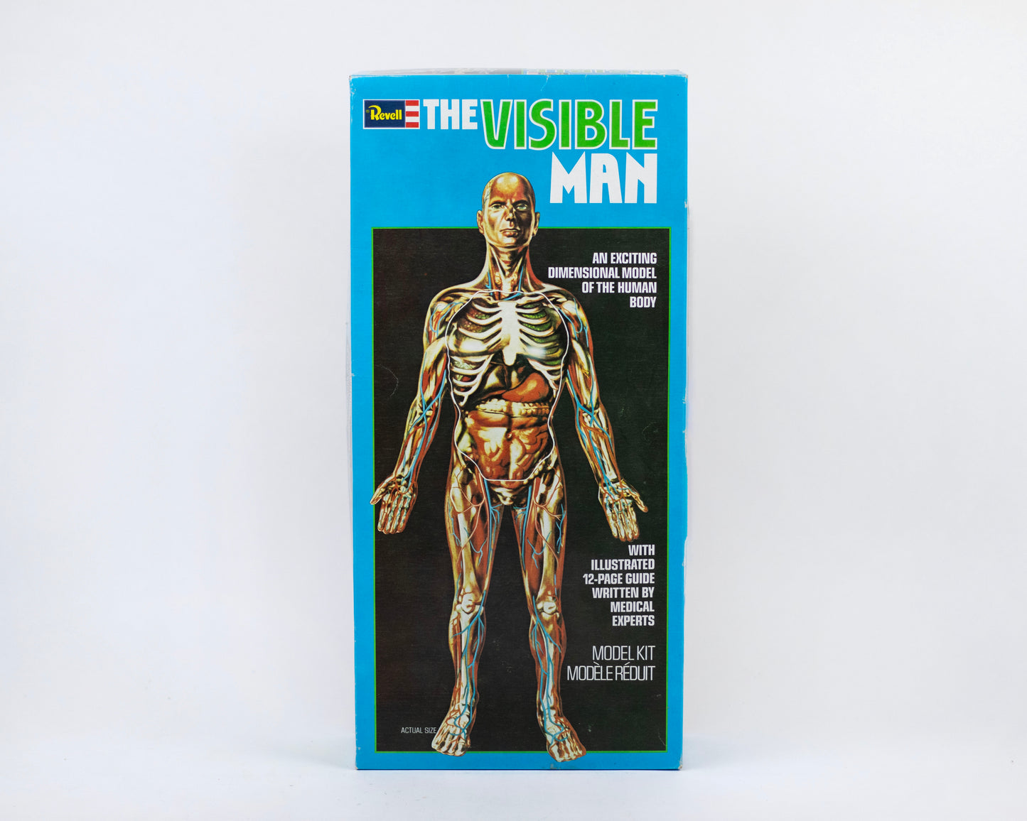 VINTAGE 1970S "THE VISIBLE MAN" ANATOMICAL HUMAN BODY MODEL KIT
