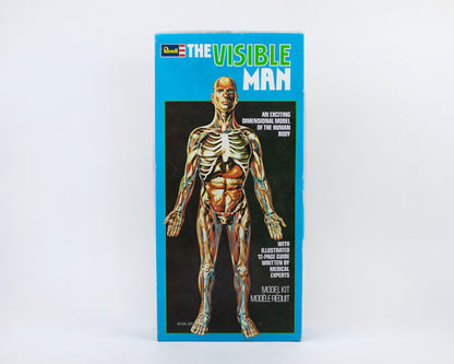 VINTAGE 1970S "THE VISIBLE MAN" ANATOMICAL HUMAN BODY MODEL KIT