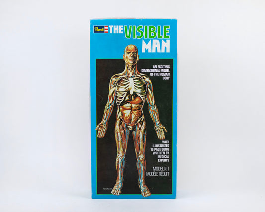 VINTAGE 1970S "THE VISIBLE MAN" ANATOMICAL HUMAN BODY MODEL KIT