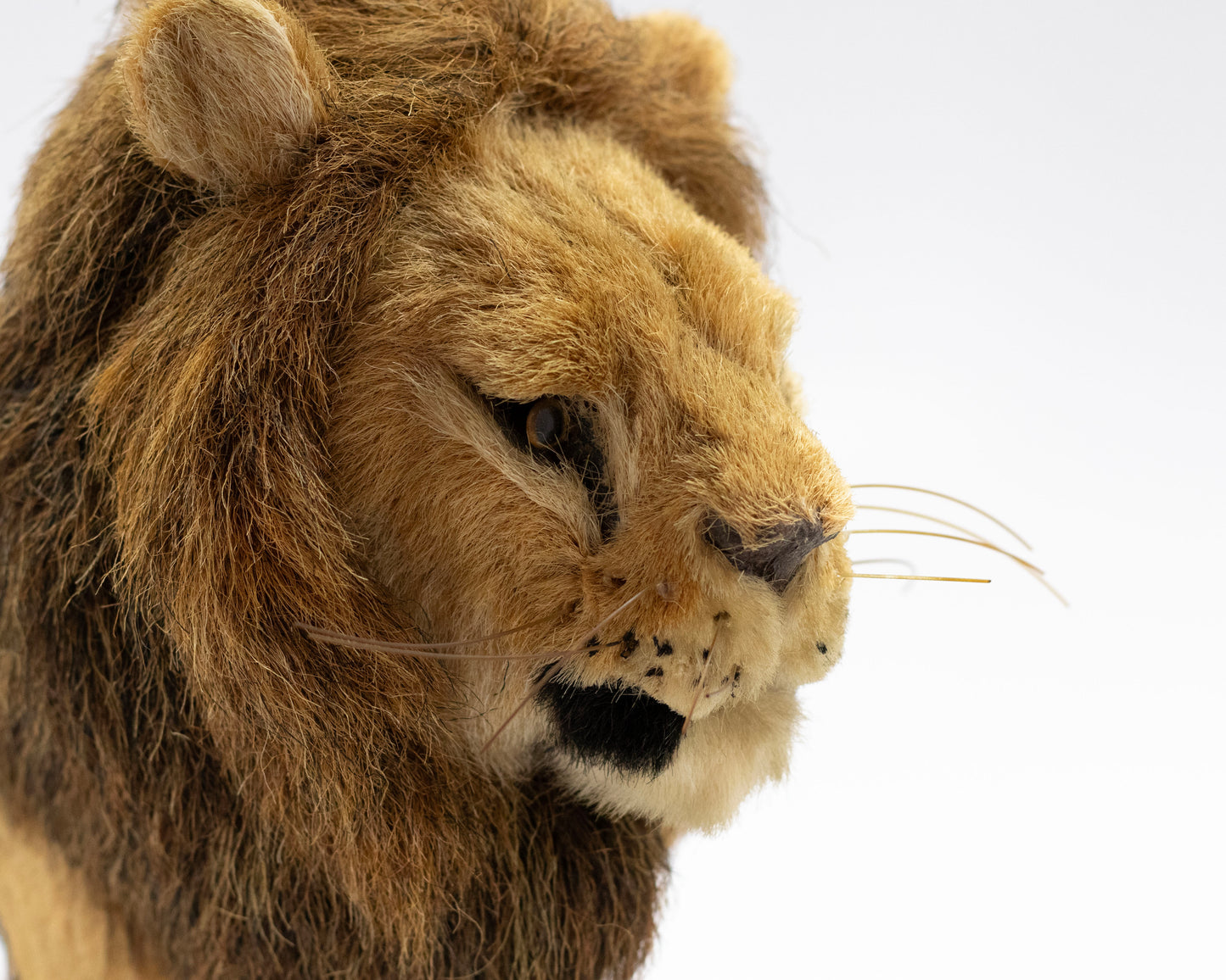 VINTAGE LION AND LIONESS FIGURES